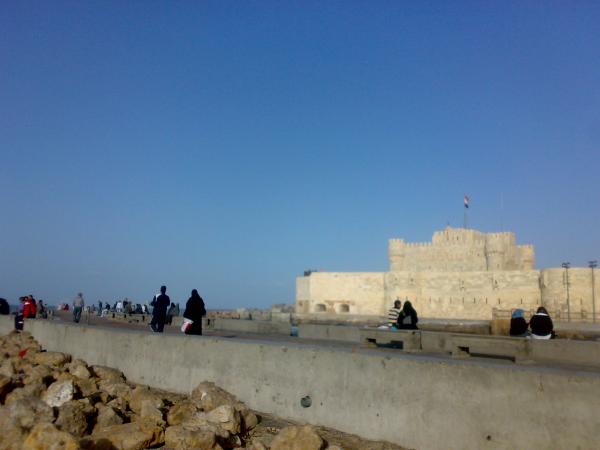 Full Day Alexandria
